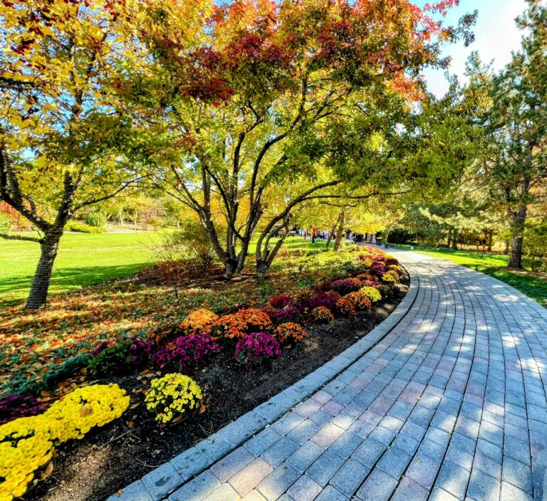 Landscaping and Garden Makeovers
